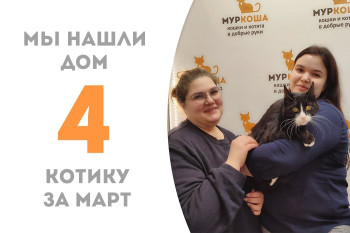 Пятилетний котик Мурикс стал домашним!