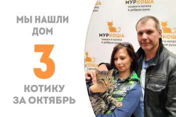 Немногим больше двух месяцев прошло и Мурлыш встретил своих людей!