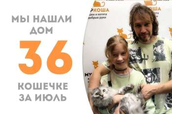 Мурлышка обрела дом и семью всего за пять недель!