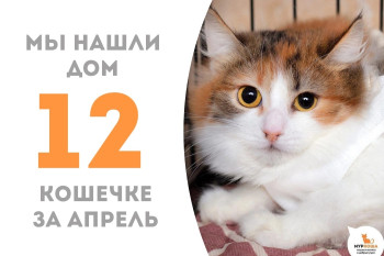 Меньше месяца потребовалось девятимесячной Муртазе, чтобы стать домашней!