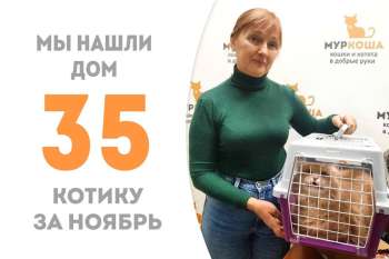 Нотти теперь домашний!