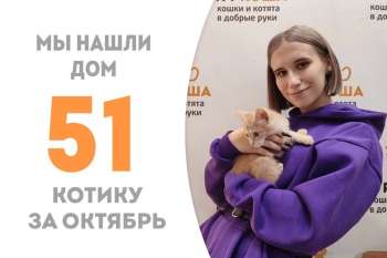 Чуть меньше 2 месяцев понадобилось Пекану, чтобы стать домашним!