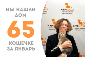 Малышка Припевочка, проведя около полутора месяцев в приюте, стала домашней!
