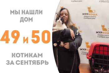 Ракета и Йоши вместе устремляются в домашнюю жизнь!