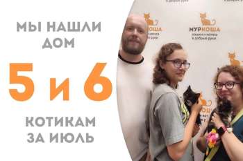 Прошло не больше двух недель, как Рамуна и Мухоморчик, которым всего 2 месяца, обрели свой счастливый дом.