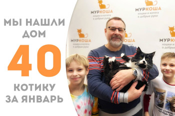 Четырёхлетний котик Ривер познакомился с дружной семьёй и уехал домой!