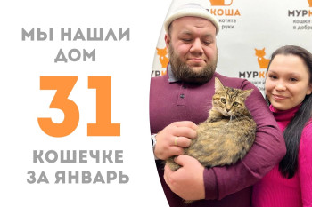 Юная кошечка Росинка встретила своих людей и уехала домой!