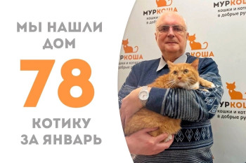 Пятилетний Рыжулькин уехал в свой новый дом!