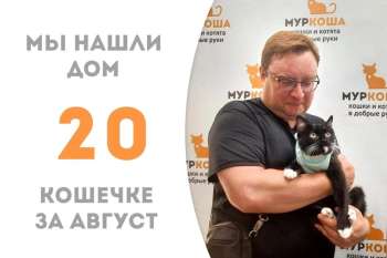 Менее 1,5 месяца понадобилось, чтобы Сафана стала домашней!