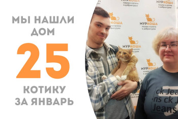 Девятимесячный котёнок по имени Шредер уехал домой!