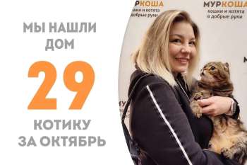 Счастливый Симбиус отправляется домой!