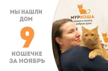 Синсин встретила свою добрую хозяйку, а подружкой ей будет наша выпускница Чашечка!