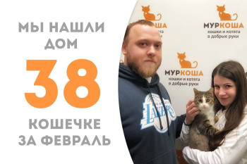 У кошечки Снежаны теперь есть замечательная семья!