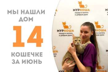 Сопрано нашла своих верных поклонников, она стала домашней!