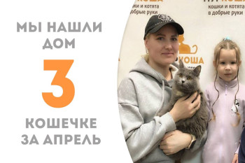 Чуть больше месяца потребовалось двухлетней Тайли, чтобы стать домашней!