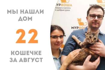Тейли нашла свою семью!