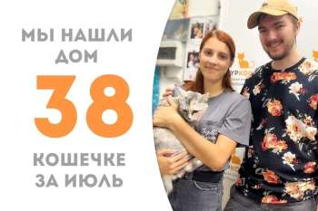 Не прошло и месяца, а Виолончель уже дома!