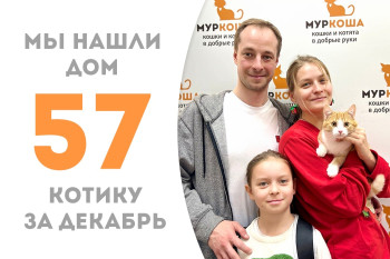 Котик Ярокус в последние часы уходящего года обрёл семью и дом!