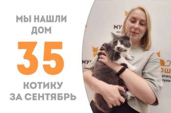 Яшкинс  обрел дом!