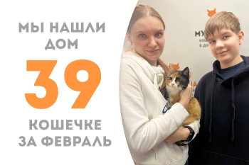 Озорная кошечка Юнси начинает домашнюю жизнь!