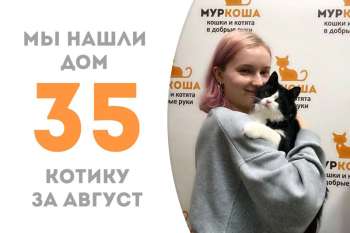 Котик Юркис стал домашним!
