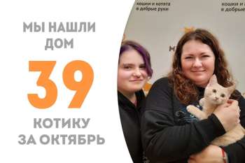 Малышу Заклёпкину улыбнулась удача, он отправляется в свой дом!