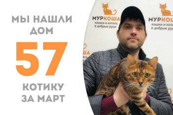 Всего через один месяц Жульен встретил нового хозяина!