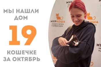 Красавица Арланда пробыла с нами около полутора месяцев и вот уже обрела семью!
