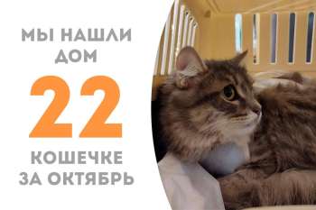 Скромняжка Атисса завоевала сердце своего человека и уехала домой!