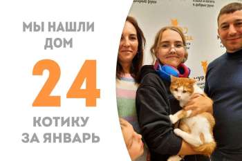 Румяный Багетик становится любимчиком дружной семьи!