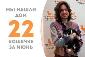 Баккара покинула приют в руках своего нового хозяина!