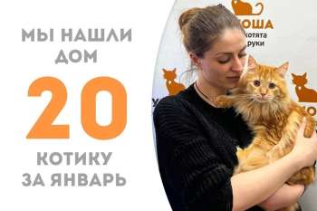 Баламут теперь домашний!