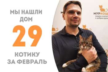 Замечательный Бонсай встретил своего человека!