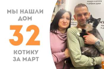 Вальяжный Буффон, пробыв два месяца в приюте, отправляется жить в семью к куратору!