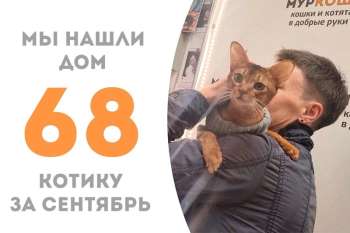 Буравчик отправляется домой!