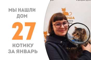 Меньше четырёх месяцев понадобилось Даймонду, чтобы стать домашним!