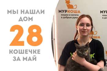 Делька стала домашней!