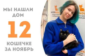 Джису обретает добрую хозяйку, уютный дом и подругу Пилар, нашу выпускницу!