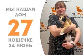 Не прошло и трех месяцев пребывания в приюте, как Эльсанта упорхнула домой!