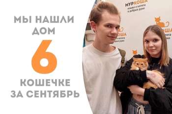 Ферги становится счастливицей спустя два месяца пребывания в приюте!