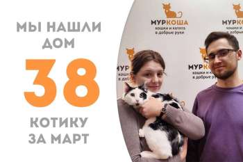 Скромняга Ферид встретил свою семью!