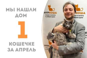 Пышношубная красавица Фьюжн встретила своего человека!