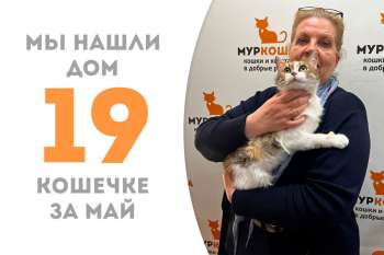 Гармошка нашла себе хозяйку!