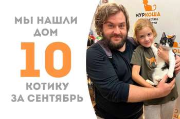 Гарвей пробыл у нас 2 месяца и встретил свою семью!