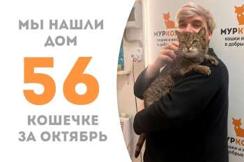 Нежная Гвоздика становится домашней!