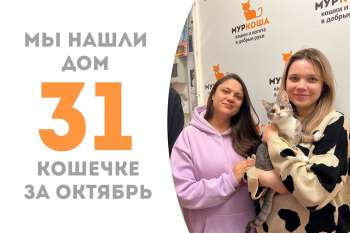 Спустя два с половиной месяца провожаем Инву в счастливую домашнюю жизнь!