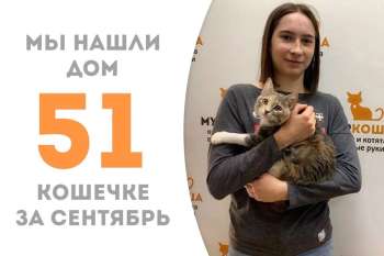 Всего за три месяца котенок Кагосима нашла хозяйку!