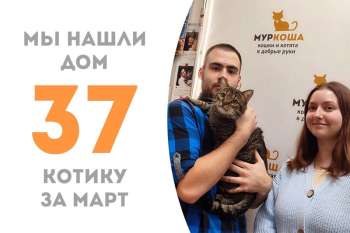 Милый Касатик уехал к Алисабель!