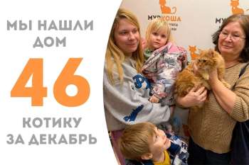 Шикарный Керрот встретил своих людей!