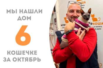 Хомми встретила своего человека!